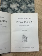kniha Boženy Němcové Divá Bára, I.L. Kober 1927