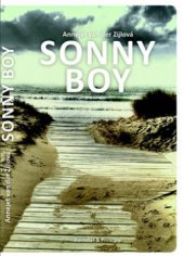kniha Sonny Boy, Barrister & Principal 2010