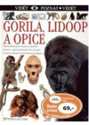 Gorila, lidoop a opice