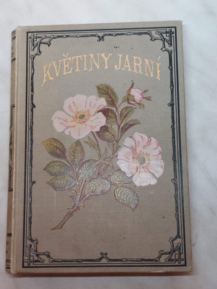 Jarni Kvetiny Atlas (Bledule jarní, Botanická Charakteristika, dobře propustnou, Krokusy jsou) Jarni Kvetiny Atlas