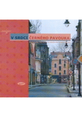 kniha V srdci Černého pavouka ostravská literární umělecká scéna 90. let, Votobia 2000