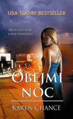 kniha Obejmi noc Série Cassie Palmerová 3, Baronet 2013