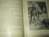 kniha Pád rodu Smiřických román ze století XVII., F. Topič 1917