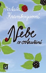 kniha Nebe v ostružiní Román v příbězích, Gorgona Books 2014