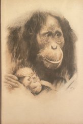 kniha AFFEN Ernst genommen, Verlag 1980