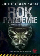kniha Rok pandemie, BB/art 2010