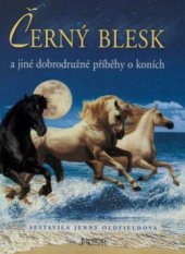 kniha Černý blesk a jiné dobrodružné příběhy o koních, Fortuna Libri 2008