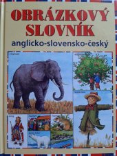 kniha Obrázkový slovník anglicko-slovensko-český, Matys 2005