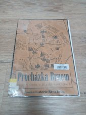 kniha Procházka Brnem, Rezekvítek 2001