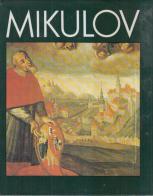 kniha Mikulov památková rezervace, TEPS místního hospodářství 1983