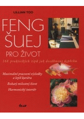 kniha Feng-šuej pro život 168 praktických tipů jak dosáhnout úspěchu, Ikar 2001