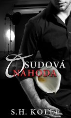 kniha Osudová náhoda, Baronet 2015