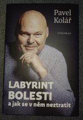 kniha Labyrint bolesti A jak se v něm neztratit , Vyšehrad 2025