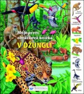kniha V džungli moje první obrázková knížka, Svojtka & Co. 2011