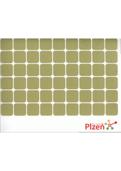 kniha The application of the City of Pilsen to the competition for the title of European Capital of Culture 2015, Municipality of Pilsen, Pilsen City Council 2009