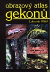 kniha Obrazový atlas gekonů, Forsáž 1999