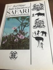 kniha Safari pod Kilimandžárom, Mladé letá 1985