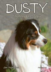 kniha Dusty 7: Stratený bez stopy, Fragment 2024