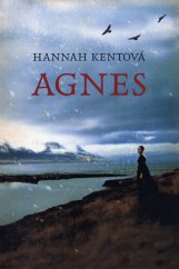 kniha Agnes, Fortuna Libri 2013