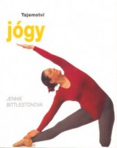kniha Tajemství jógy, Svojtka & Co. 2003