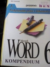 kniha WORD 6. [3.], - Profesionální práce s dokumenty, BEN - technická literatura 1995