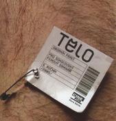 kniha Tělo sborník textů k pátému ročníku sokolovského filmového semináře : 14.-16. října 2005, Démonický koník 2005