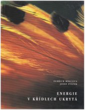 kniha Energie v křídlech ukrytá, Oldřich Mikulica 2000