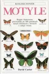 kniha Motyle, Dorling Kindersley 1992