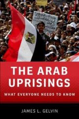 kniha The Arab Uprisings (What Everyone Needs to Know), Oxford University Press 2012