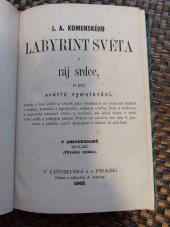 kniha J.A. Komenského Labyrint světa a ráj srdce, to jest, Světlé vymalování, kterak v tom světě a věcech jeho všechněch nic není než matení ..., Tiskem a nákladem A. Augusty 1862