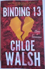 kniha Binding 13, Euro média group 2024