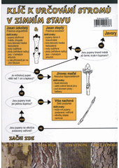 kniha Klíč k určování stromů v zimním stavu, Rezekvítek 2007