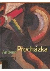 kniha Antonín Procházka 1882-1945 Muzeum města Brna, Moravská galerie v Brně 6.6.-29.9.2002, Obecní dům Praha 11.12.2002-22.3.2003, Muzeum města Brna 2002