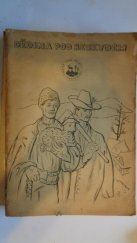 kniha Dědina pod Beskydem k I. celostátnímu srazu turistů ČSR, Velké Karlovice 1955