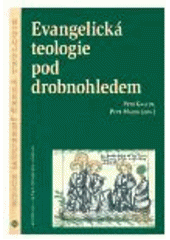 kniha Evangelická teologie pod drobnohledem, Centrum pro studium demokracie a kultury 2006