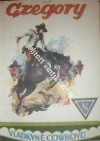 kniha Vládkyně cowboyů, Sfinx 1928