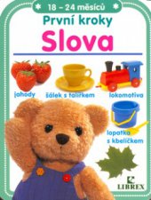 kniha Slova, Librex 2004