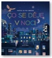 kniha Co se děje v noci, Svojtka 2025