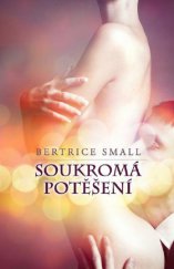 kniha Soukromá potěšení, Baronet 2013