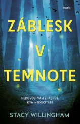 kniha Záblesk v temnote, Motýl 2022