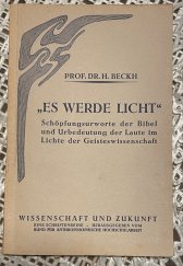 kniha Es werde Licht, Der Kommende Tag 1921