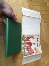 kniha Afrika mluví = [Bong'kwé] : román afrického bůvola, Rudolf Kmoch 1939