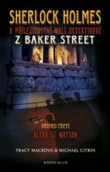 kniha Sherlock Holmes a příležitostní malí detektivové z Baker Street. Případ třetí, - Hledá se Watson, Knižní klub 2010