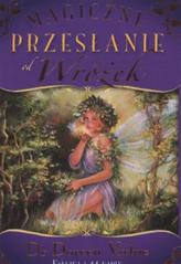 kniha Magiczne przesłanie od wróżek, Synergie 2010
