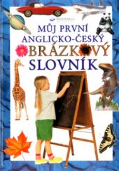 kniha Můj první anglicko-český obrázkový slovník, Svojtka & Co. 2004
