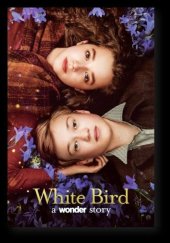 kniha Bílé ptáče, Pikola 2024