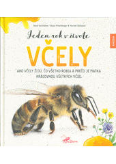 kniha Jeden rok v živote včely ako včely žijú, čo všetko robia a prečo je matka kráľovnou všetkých včiel, Kazda 2020
