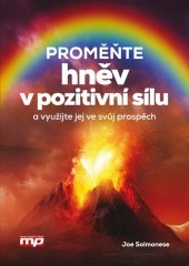 kniha Proměňte hněv v pozitivní sílu a využijte jej ve svůj prospěch!, Management Press 2017