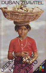kniha Jedno horké indické léto, Panorama 1981