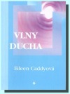 kniha Vlny ducha praktické způsoby, jak čelit problémům dnešního života, Onyx 1999